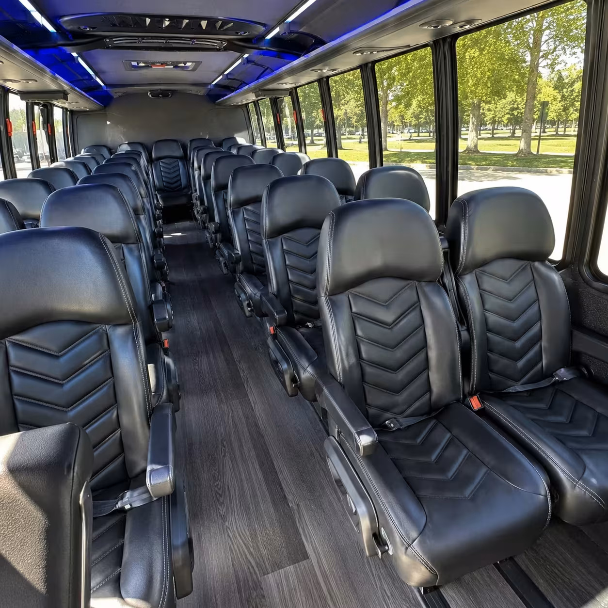 school field trip bus rentals in springdale